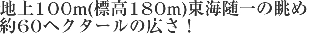 地上100m(標高180m)東海随一の眺め　約60ヘクタールの広さ！